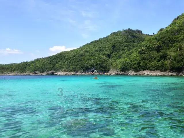 生化危机保护伞小队